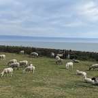 First Weekend in Wales