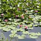 Bike ride from Padarn Country Park