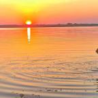 Gorna Dikanya, Sofia and Gorna Dabnik