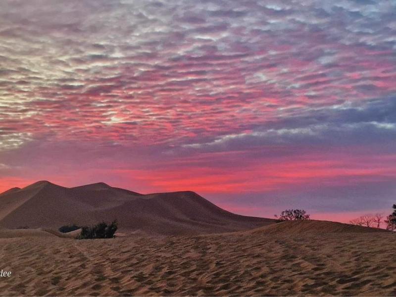 Merzouga Adventures: Discovering the Sahara Desert Experience